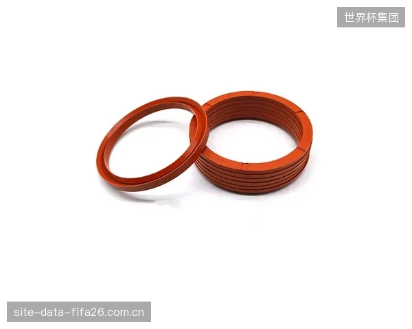 FKM密封圈的动态标定，帮助高端避震器将系统响应延迟压缩了宝贵的3毫秒